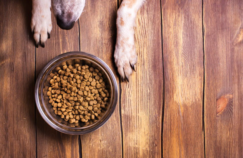 The Safety of Irradiation In Pet Food and Treats