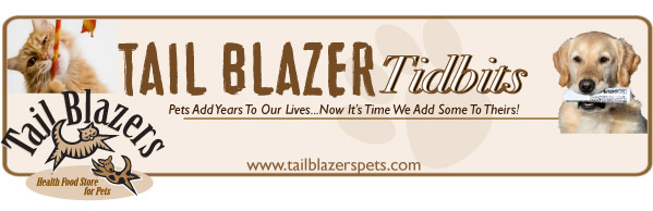 Tail Blazers Newsletter